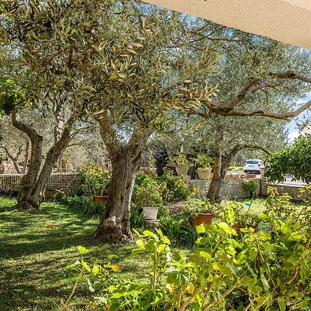 Amazing In Podsolarsko