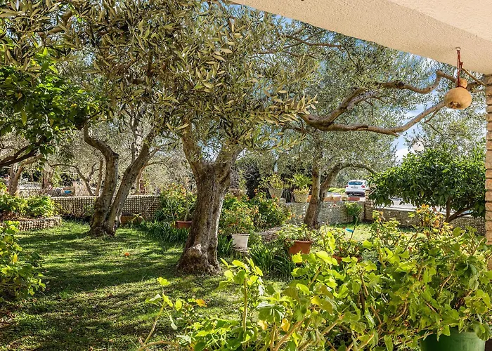 Amazing In Podsolarsko